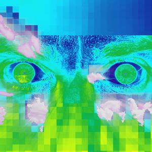 Psychotic Adventures in the Outside World