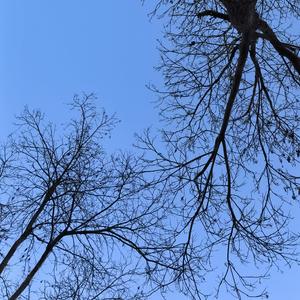 凌晨情绪的风.wav