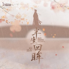 半生回眸 (DJ沈念版)