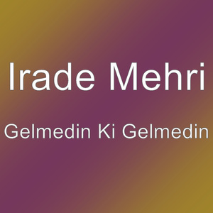 Gelmedin Ki Gelmedin