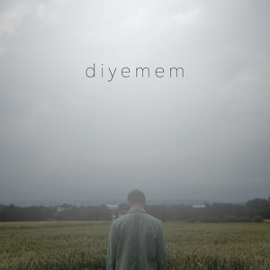 Diyemem