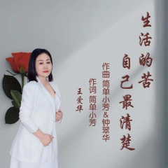 生活的苦只有自己最清楚 (DJ默涵版)