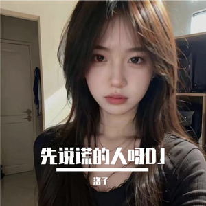先说谎的人DJ