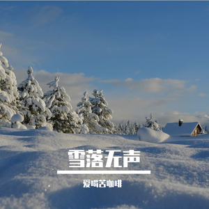 雪落无声