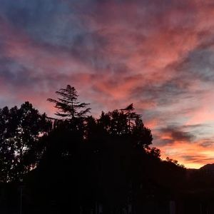 闲云晚后有桑田