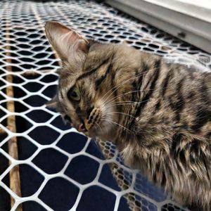 不想回家的女人1757821003451