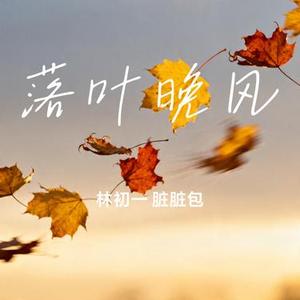 落叶晚风