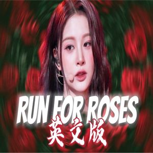RUN FOR ROSES英文版