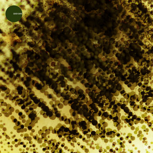 Pacman Theorem (Extended Mix)