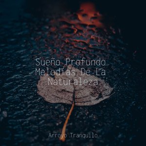 Lluvia Distorsionada