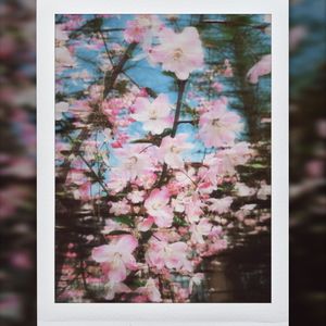 春之随笔