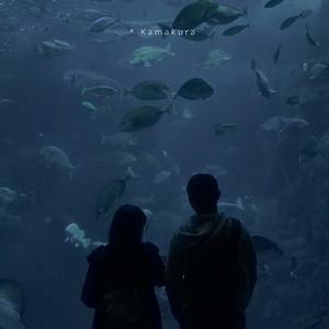 独家记忆（翻自 郁可唯）