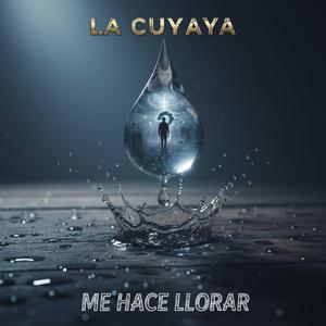 ME HACE LLORAR