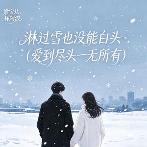 淋过雪也没能白头（爱到尽头一无所有）