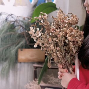 成为发压岁钱的大人