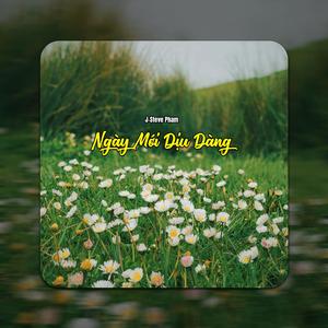 Ngày Không Muộn Phiền