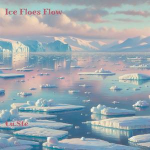 Ice Floe Flow