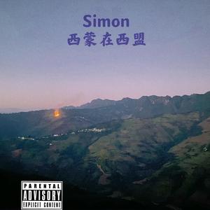 Travis Scott-Hip hop Saved my life（remix）（Simon remix）