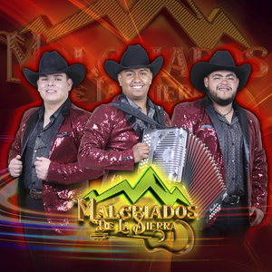 Anillo Grabado (En Vivo)