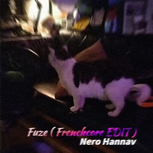 Fuze（Frenchcore EDIT）