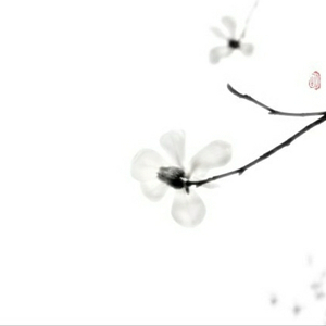 致远方的你（Cover 阿飞＆葛洪飞）