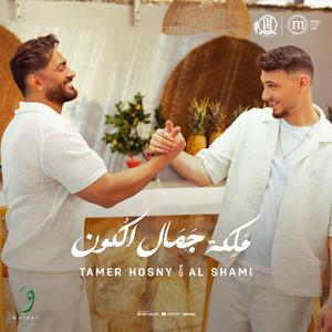 Maleket Gamal El Kon