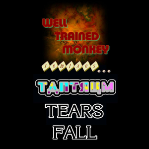 Tears Fall: Well Trained Monkey Remixes Tantrum