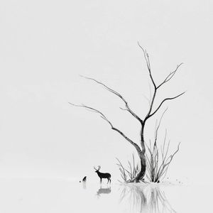 种果无果（DJ版）