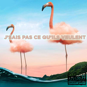 J'sais pas ce qu'ils veulent