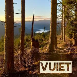Vuiet