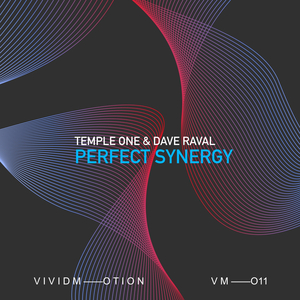 Perfect Synergy (Extended Mix)