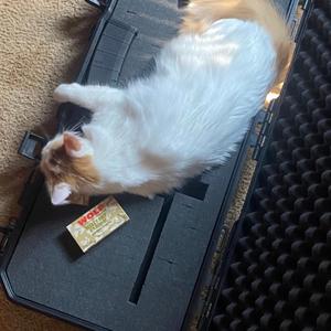 yeezy boots (xoolglocks)