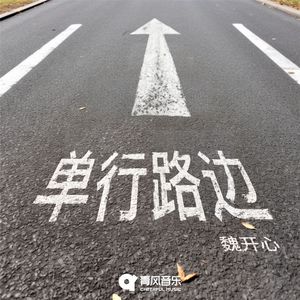 单行路边