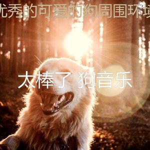 微妙的可爱的狗心情