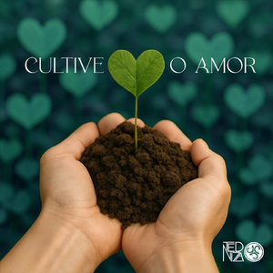 Amor de Verão (feat. Vitin)