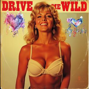 Drive Me Wild