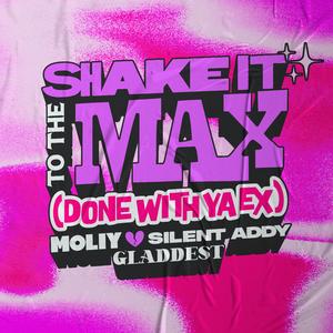 Shake It To The Max (FLY)