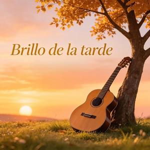 briilo de la tarde