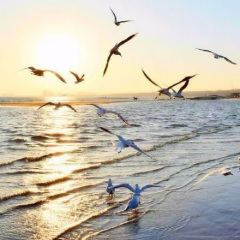 今生我在修佛缘-谭明