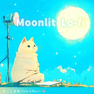 青い夜の航海 - Blue Night Voyage