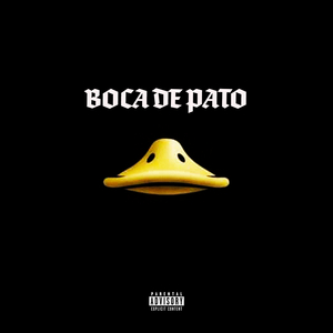 BOCA DE PATO