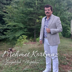 Zonguldak Alaplılım