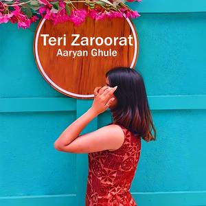 Teri Zaroorat