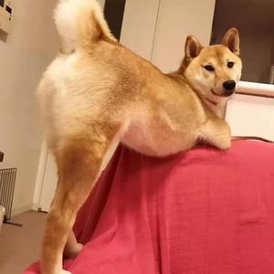 郭富城-对你爱不完（DJ2k7 Vina House Bootleg）