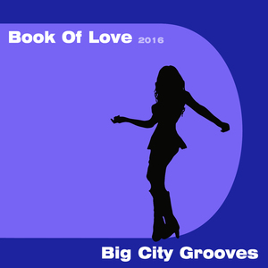 Book of Love 2016 (In Your Radio Remix)