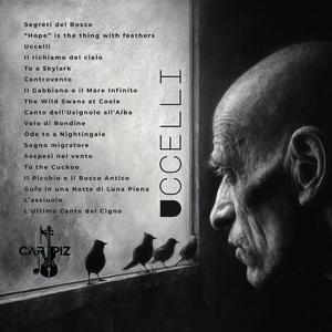 Gufo in una Notte di Luna Piena