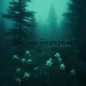 another perspective (sped up)