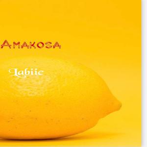 Amakosa (feat. Labiic)