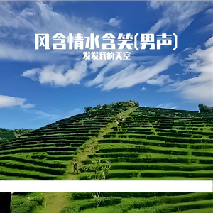 风含情水含笑(cover：卓依婷)(男声版)