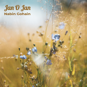 Jan O Jan